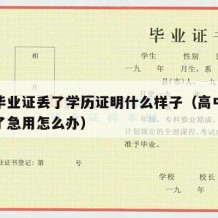 高中毕业证丢了学历证明什么样子（高中毕业证丢了急用怎么办）