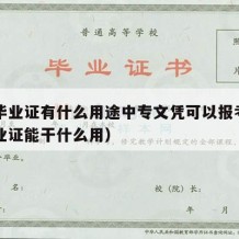 中专毕业证有什么用途中专文凭可以报考（中专毕业证能干什么用）