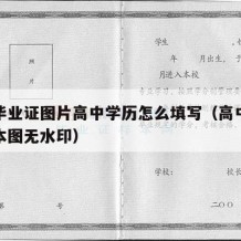 高中毕业证图片高中学历怎么填写（高中毕业证样本图无水印）