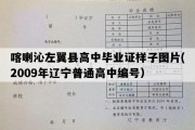 喀喇沁左翼县高中毕业证样子图片(2009年辽宁普通高中编号）