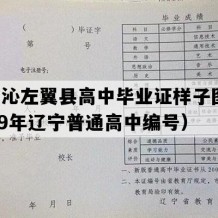 喀喇沁左翼县高中毕业证样子图片(2009年辽宁普通高中编号）