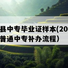 东阿县中专毕业证样本(2004年山东普通中专补办流程）