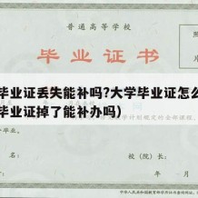 大学毕业证丢失能补吗?大学毕业证怎么补（大学毕业证掉了能补办吗）