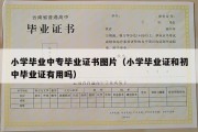 小学毕业中专毕业证书图片（小学毕业证和初中毕业证有用吗）