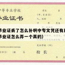 中专毕业证丢了怎么补啊中专文凭还有用吗（中专毕业证怎么弄一个真的）