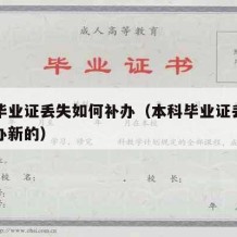 本科毕业证丢失如何补办（本科毕业证丢失如何补办新的）