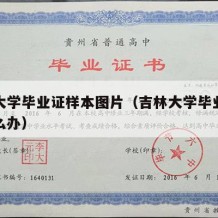 吉林大学毕业证样本图片（吉林大学毕业证丢了怎么办）