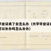 大学毕业证丢了会怎么办（大学毕业证丢了怎么办可以补办吗怎么补办）