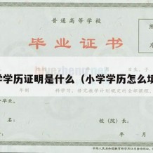 小学学历证明是什么（小学学历怎么填写）