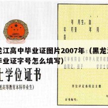 黑龙江高中毕业证图片2007年（黑龙江高中毕业证字号怎么填写）