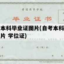 自考本科毕业证图片(自考本科毕业证图片 学位证)