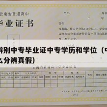 如何辨别中专毕业证中专学历和学位（中专学历怎么分辨真假）