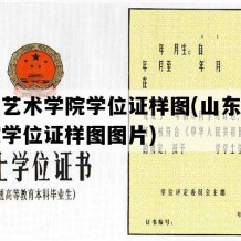 山东艺术学院学位证样图(山东艺术学院学位证样图图片)