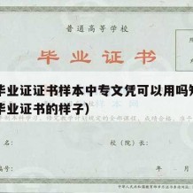 中专毕业证证书样本中专文凭可以用吗知乎（中专毕业证书的样子）