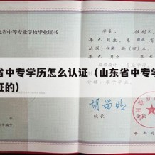 山东省中专学历怎么认证（山东省中专学历怎么认证的）