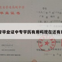 中专毕业证中专学历有用吗现在还有用吗