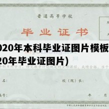 2020年本科毕业证图片模板(2020年毕业证图片)