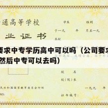 公司要求中专学历高中可以吗（公司要求大专学历,然后中专可以去吗）