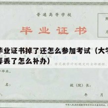 大学毕业证书掉了还怎么参加考试（大学毕业证书弄丢了怎么补办）