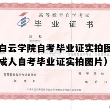 广东白云学院自考毕业证实拍图片（广东成人自考毕业证实拍图片）