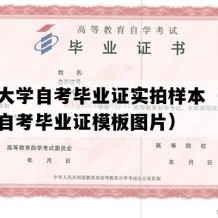 四川大学自考毕业证实拍样本（四川成人自考毕业证模板图片）