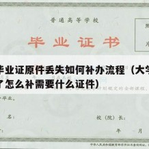 大学毕业证原件丢失如何补办流程（大学毕业证丢了怎么补需要什么证件）