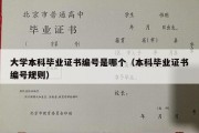 大学本科毕业证书编号是哪个（本科毕业证书编号规则）