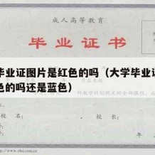 大学毕业证图片是红色的吗（大学毕业证图片是红色的吗还是蓝色）