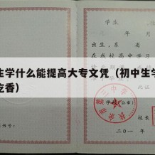 初中生学什么能提高大专文凭（初中生学什么技术吃香）