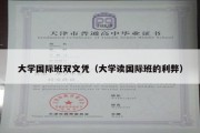 大学国际班双文凭（大学读国际班的利弊）