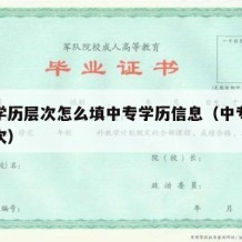 中专学历层次怎么填中专学历信息（中专的学历层次）