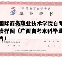 广西国际商务职业技术学院自考毕业证高清样图（广西自考本科毕业证样子图片）