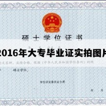 2016年大专毕业证实拍图片