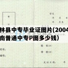 石林县中专毕业证图片(2004年云南普通中专P图多少钱）