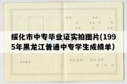 绥化市中专毕业证实拍图片(1995年黑龙江普通中专学生成绩单）