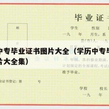 学历中专毕业证书图片大全（学历中专毕业证书图片大全集）