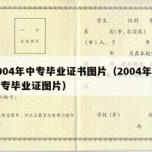 2004年中专毕业证书图片（2004年的中专毕业证图片）