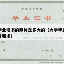 大学毕业证书的照片是多大的（大学毕业证书的照片要求）