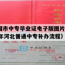 安国市中专毕业证电子版图片(1992年河北普通中专补办流程）