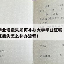 大学毕业证遗失如何补办大学毕业证呢（大学毕业证丢失怎么补办流程）