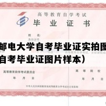 西安邮电大学自考毕业证实拍图片（陕西自考毕业证图片样本）