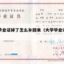 大学毕业证掉了怎么补回来（大学毕业证掉了咋办）