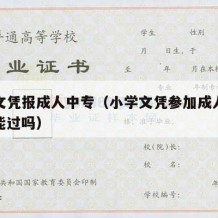 小学文凭报成人中专（小学文凭参加成人高考大专能过吗）