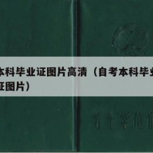 自考本科毕业证图片高清（自考本科毕业证和学位证图片）