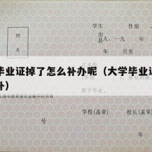 大学毕业证掉了怎么补办呢（大学毕业证丢了如何补）