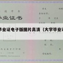 大学毕业证电子版图片高清（大学毕业证高清素材）