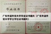 广东外语外贸大学毕业证书图片（广东外语外贸大学学士学位证书图片）