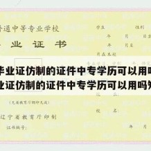 中专毕业证仿制的证件中专学历可以用吗（中专毕业证仿制的证件中专学历可以用吗知乎）