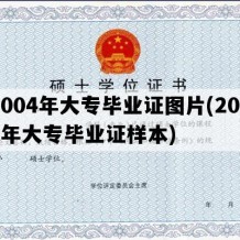 2004年大专毕业证图片(2004年大专毕业证样本)