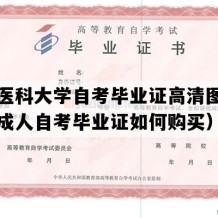 西南医科大学自考毕业证高清图片（四川成人自考毕业证如何购买）